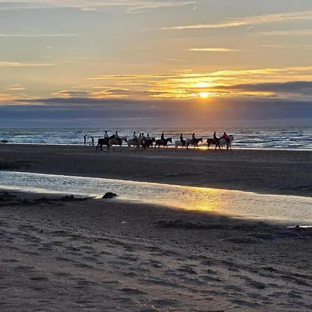 Near Belgian Coastline Daire Oostduinkerke