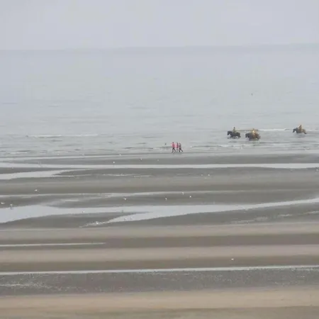 Daire Near Belgian Coastline