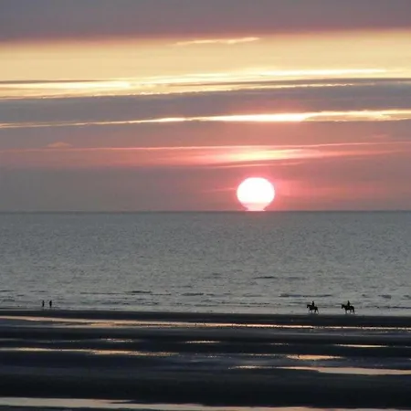 Daire Near Belgian Coastline *