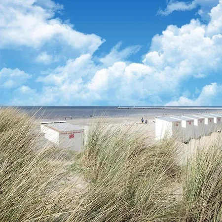 Near Belgian Coastline Oostduinkerke