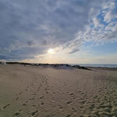 Near Belgian Coastline Daire